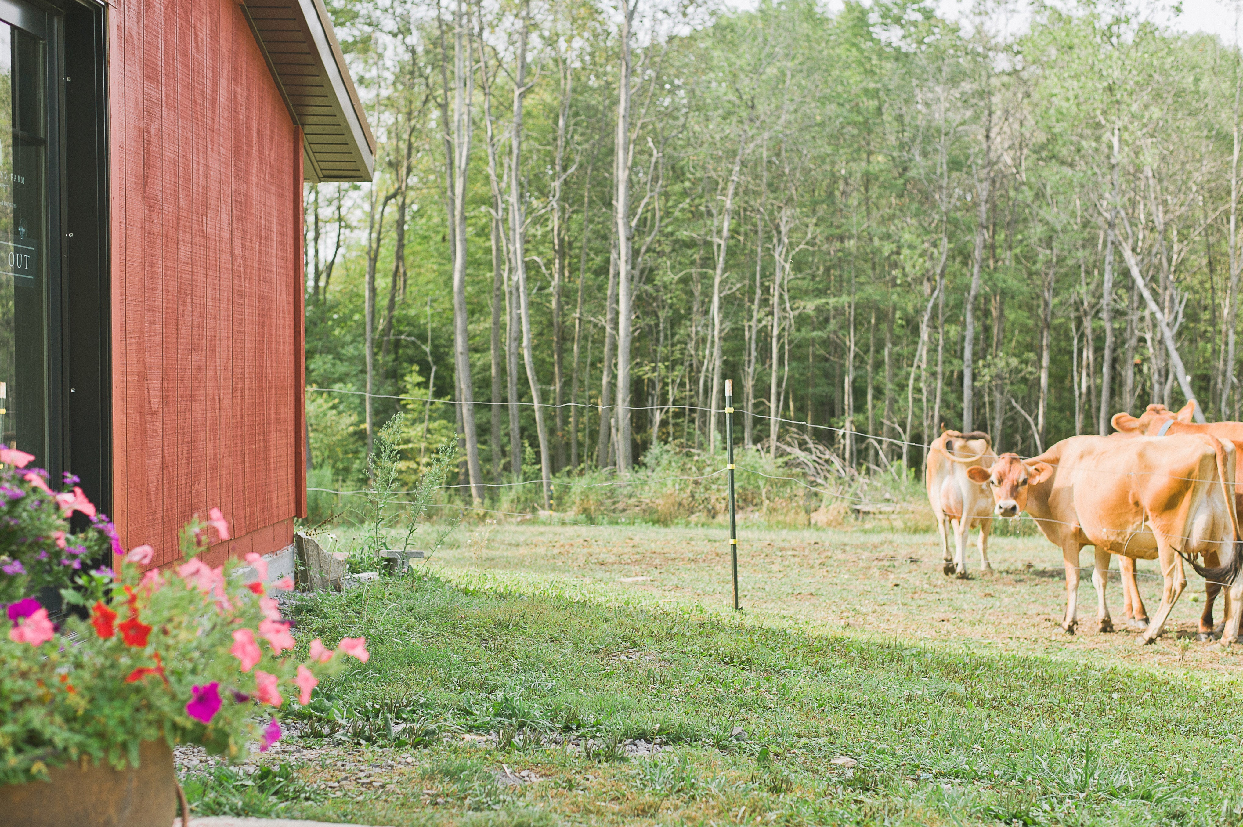 Farewell, May! – Lane's End Farm Creamery