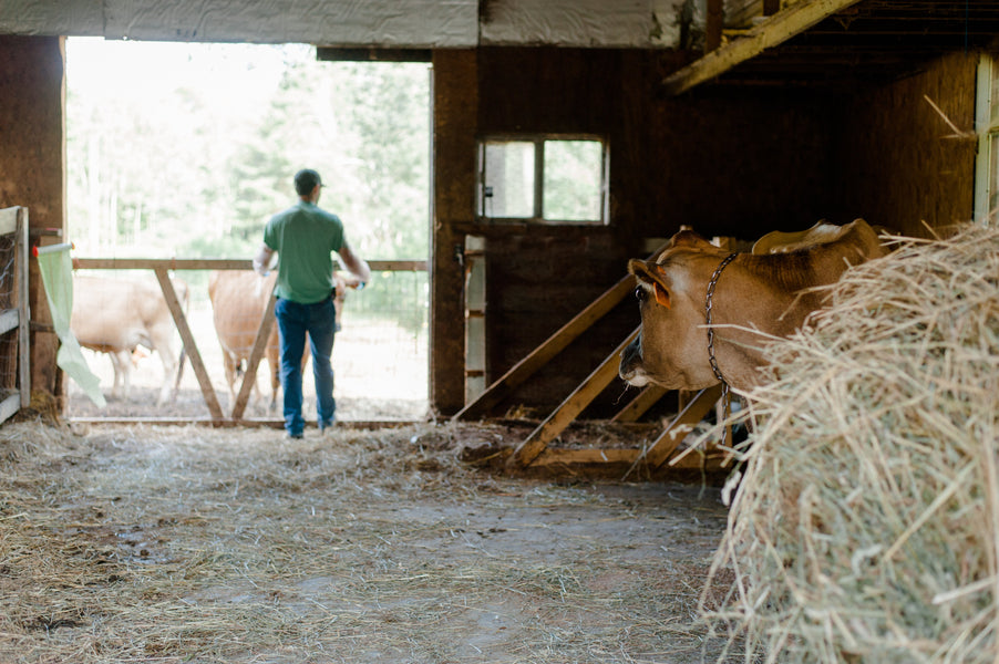 Farm Tales: Our Favorite Farm Reads