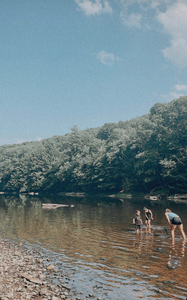 Cook Forest: A Local Gem